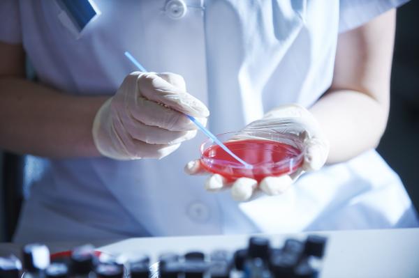 Microbiology
