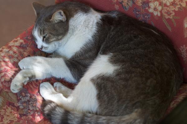 Might That Be an Open Eye, Bubba?