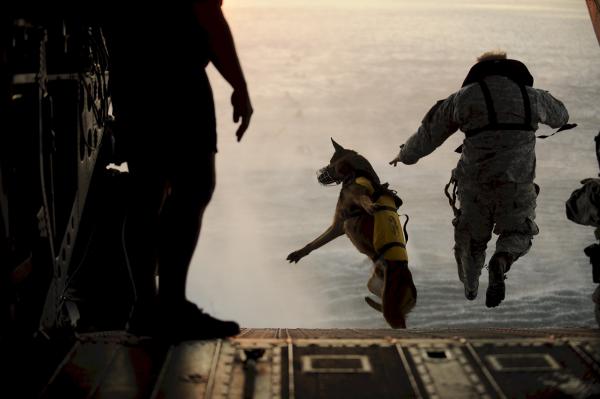 Military Skydivers