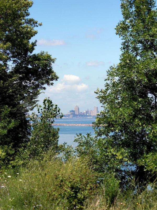 Milwaukee Bluffs
