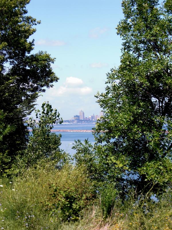 Milwaukee Bluffs