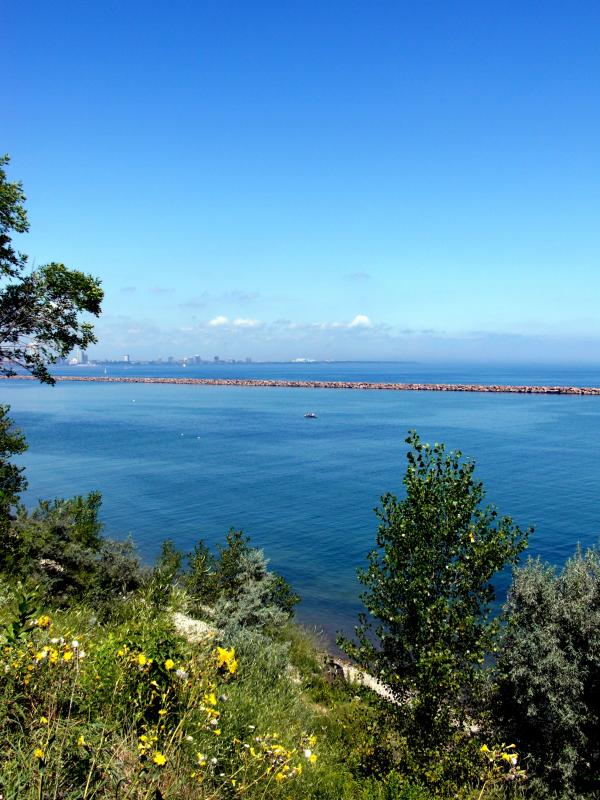 Milwaukee Bluffs