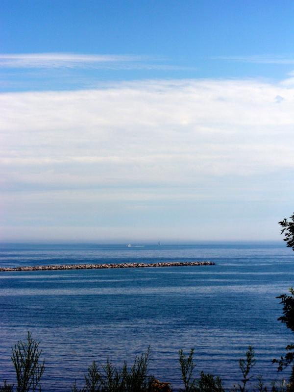 Milwaukee Bluffs