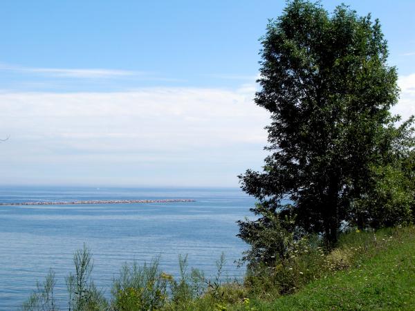 Milwaukee Bluffs