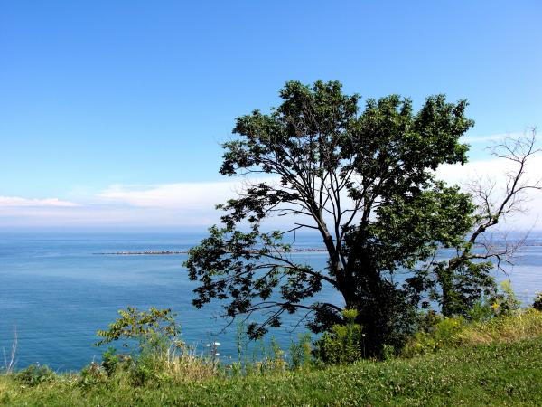 Milwaukee Bluffs