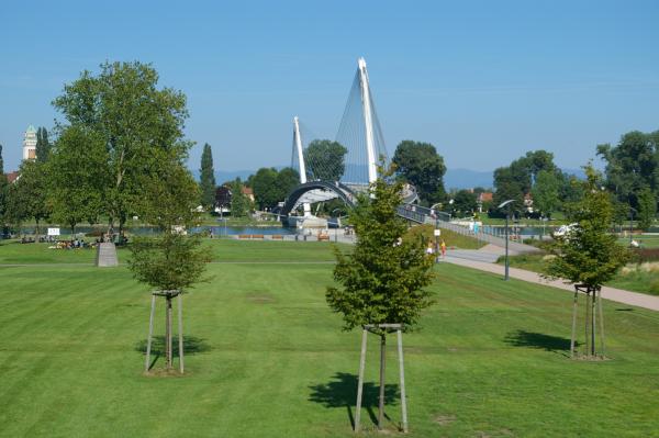 Mimram bridge