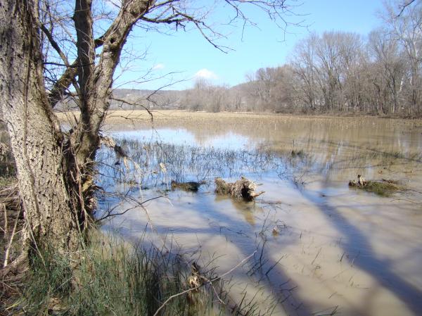 Mingo Park Flooding April 2018