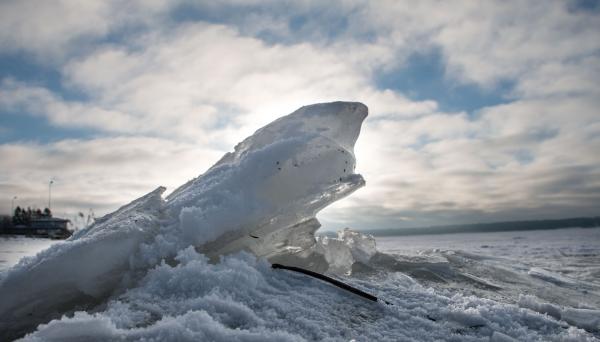 Mini iceberg