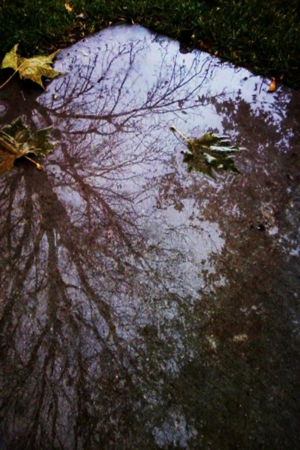 Mirror on the Breaking Storm