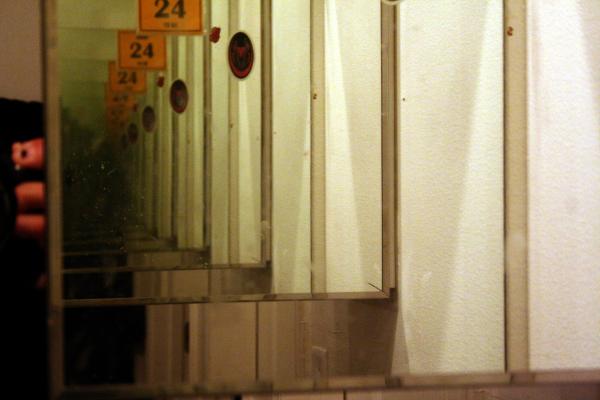 Mirror pathway