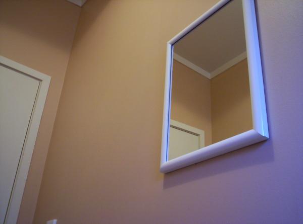 Mirror Reflection