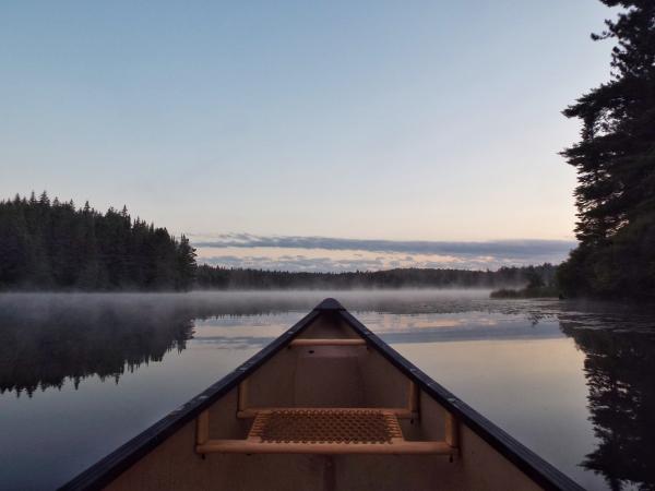 Mist on Pog Lake
