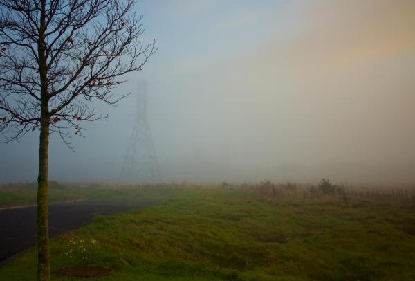 Mist