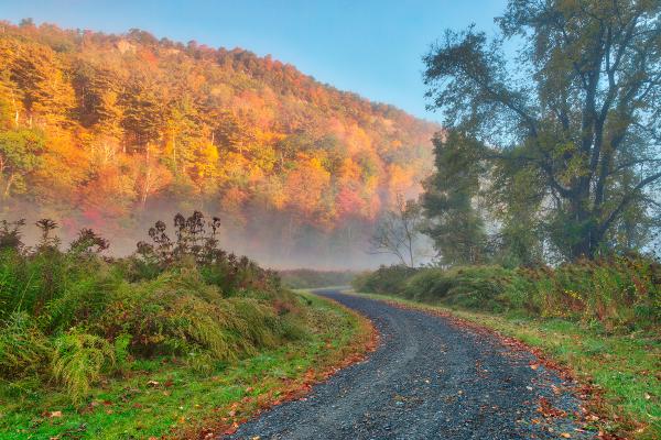Misty Autumn McDade Trail - HDR