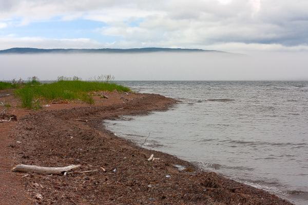 Misty Cabot Trail Scenery - HDR