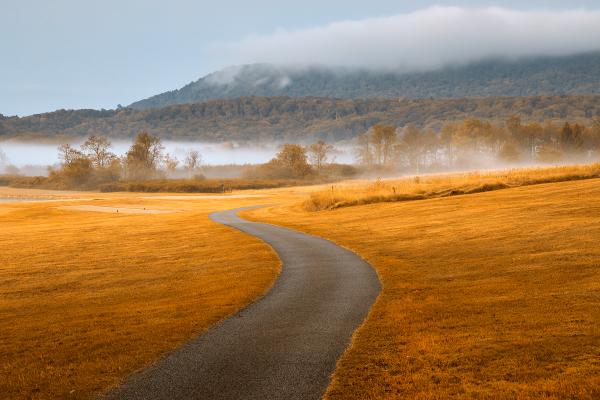 Misty Dawn Golf Course - Gold Fantasy HDR