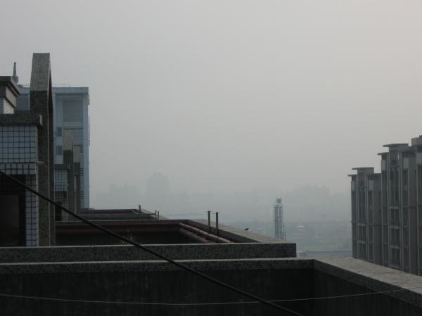 Misty Day