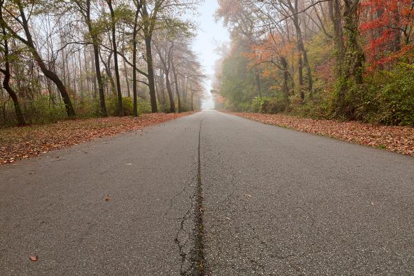 Misty Fall Road - HDR