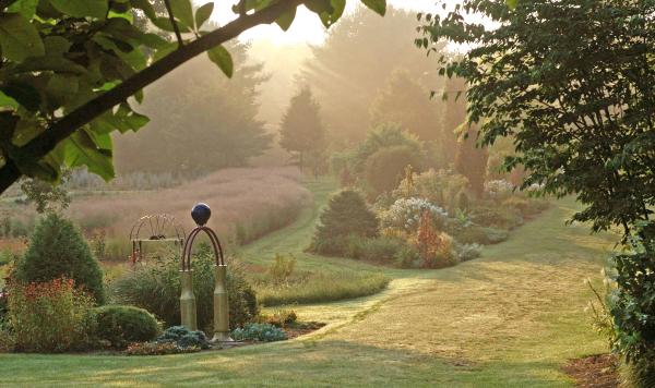Misty garden