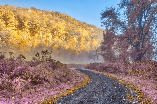 Misty McDade Trail - Gold Lavender Fantasy HDR
