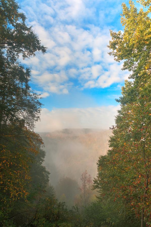 Misty Mountain oVerlook - HDR