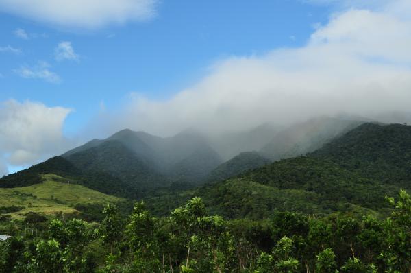 Misty mountain