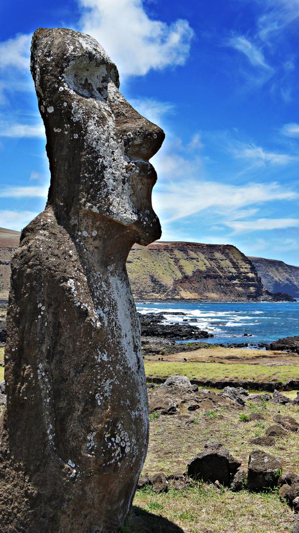 Moai Statue in Easter Island