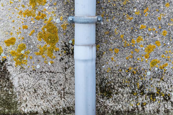 Mold