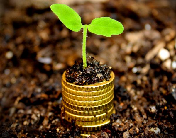 Money growth concept - Coins in the soil