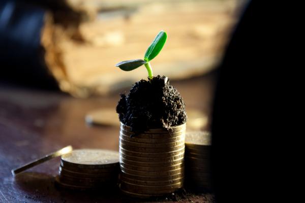 Money growth concept