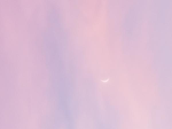 Moon sliver in pink sky