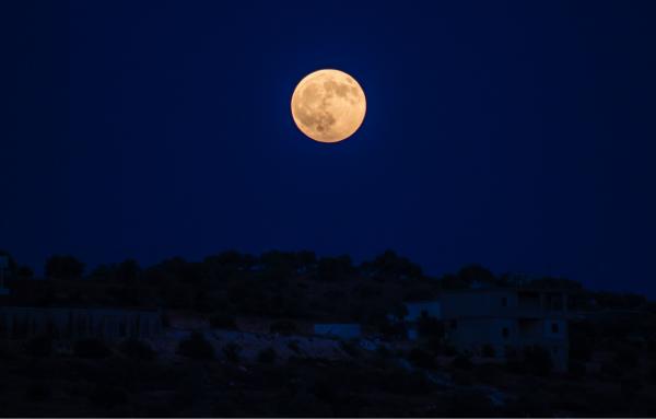 Moonlit night