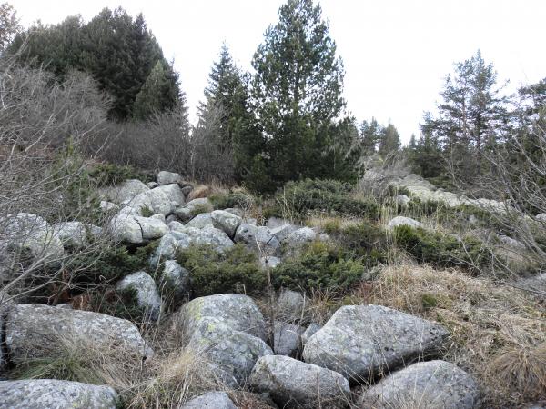 Moraines to the Vitosha mountain