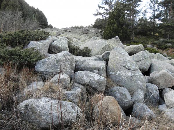 Moraines to the Vitosha mountain