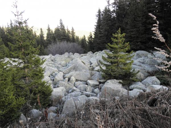 Moraines to the Vitosha mountain