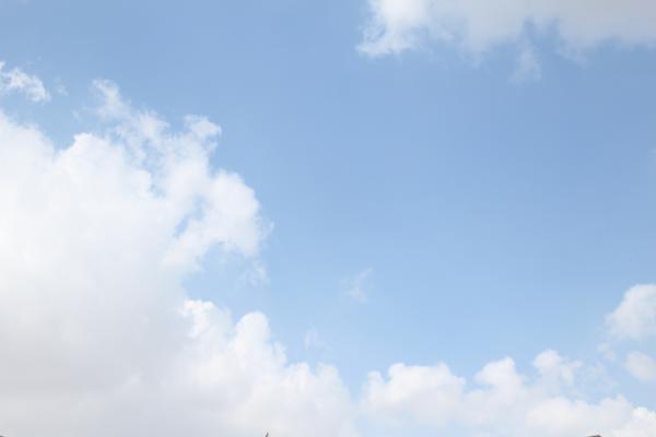 Morning Cloud