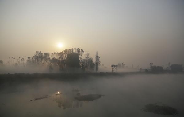 Morning in India
