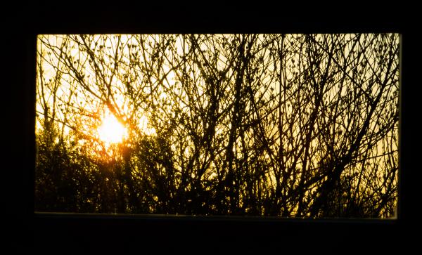 Morning sun through window