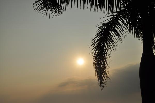 Morning Sun