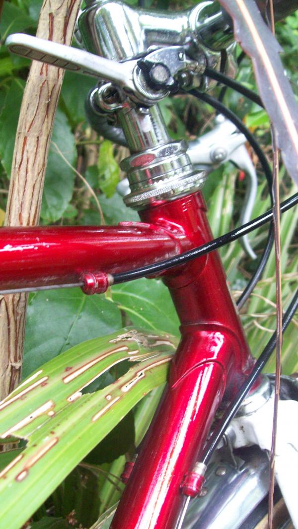 Morrison 10 Speed Bike