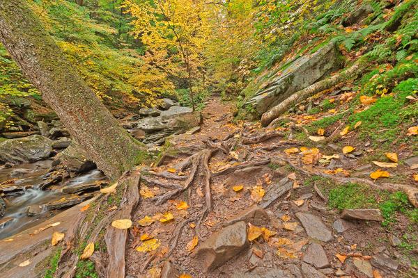 Moses Glen Trail - HDR