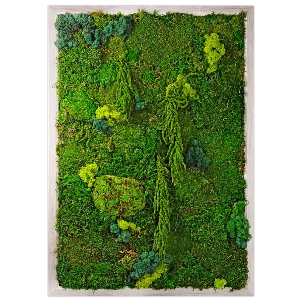 Moss
