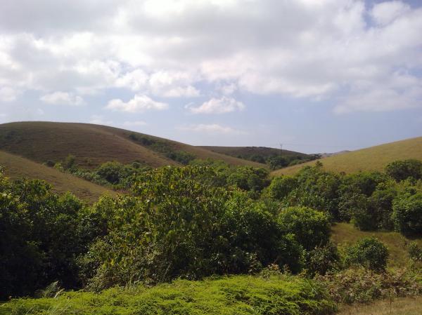 Mottakunnu Landscape