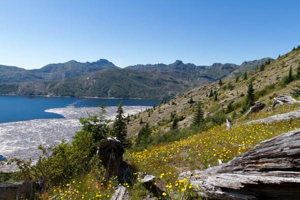 Mount Saint Helens