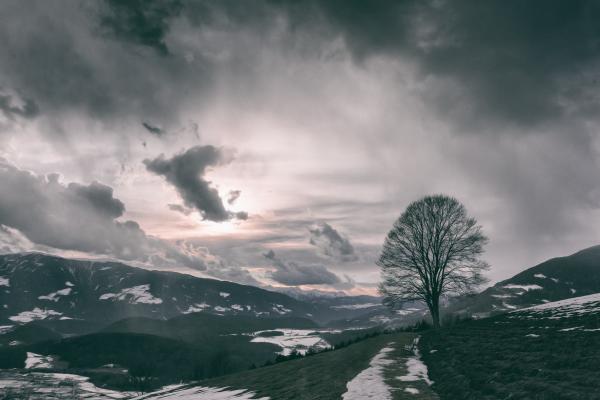 Mountain