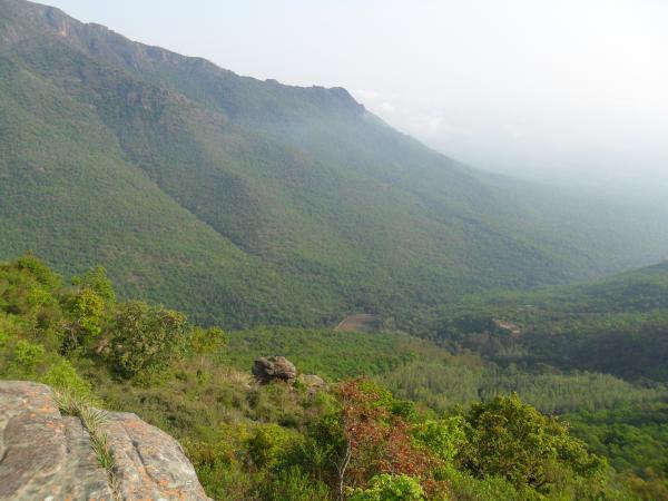Mountain Landscape
