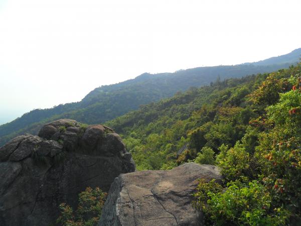 Mountain Landscape