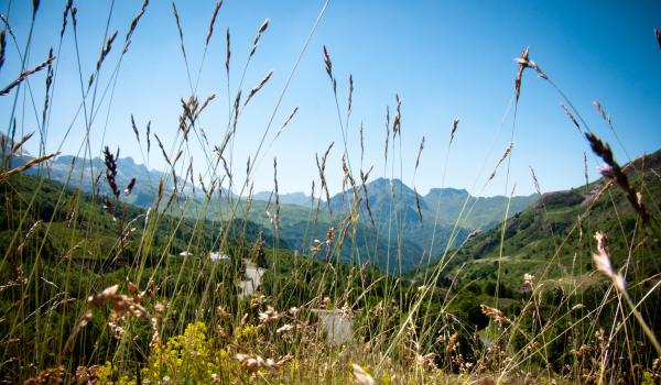 Mountain landscape