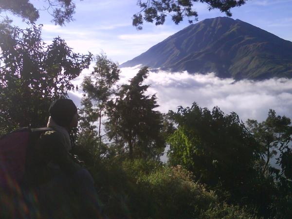 Mountain landscape