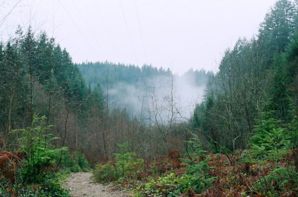 Mountain landscape fog, North Vancouver